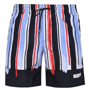 Dolce & Gabbana Multi Swimshorts